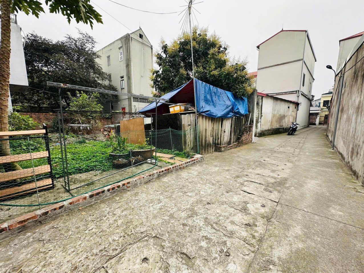 CHÍNH CHỦ BÁN ĐẤT 66,6M² TẠI THÔN CỔ DƯƠNG, XÃ TIÊN DƯƠNG, ĐÔNG ANH, HÀ NỘI – VỊ TRÍ ĐẸP, GIÁ TỐT! - Ảnh 3